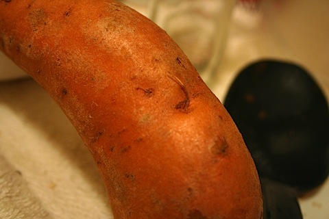 sweet potato sprout?b.jpg